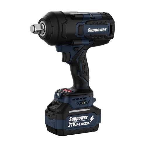 SAPPOWER 1/2